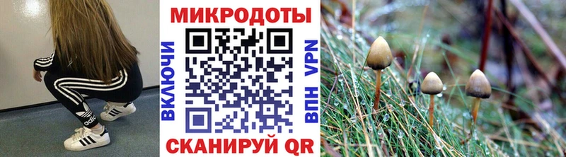 Псилоцибиновые грибы ЛСД  закладка  Семилуки 